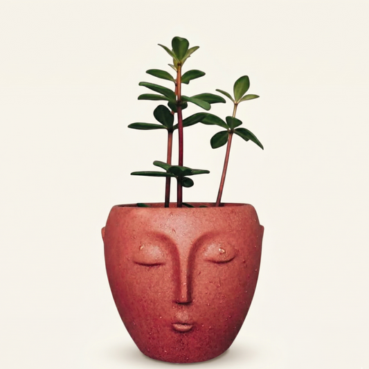 Red face-shaped planter with a plant on a beige background
