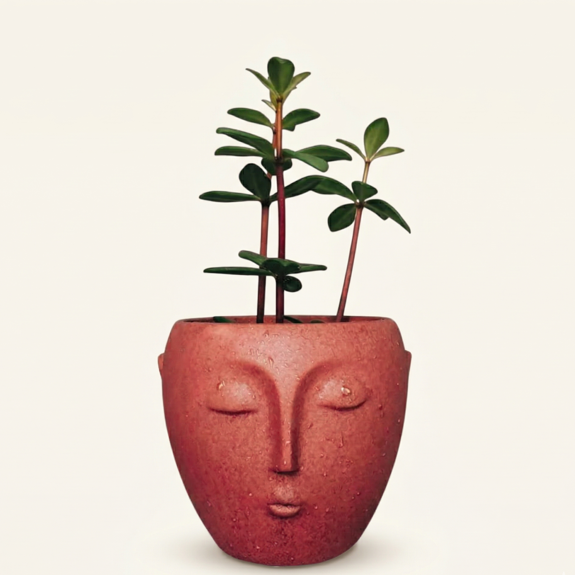 Red face-shaped planter with a plant on a beige background
